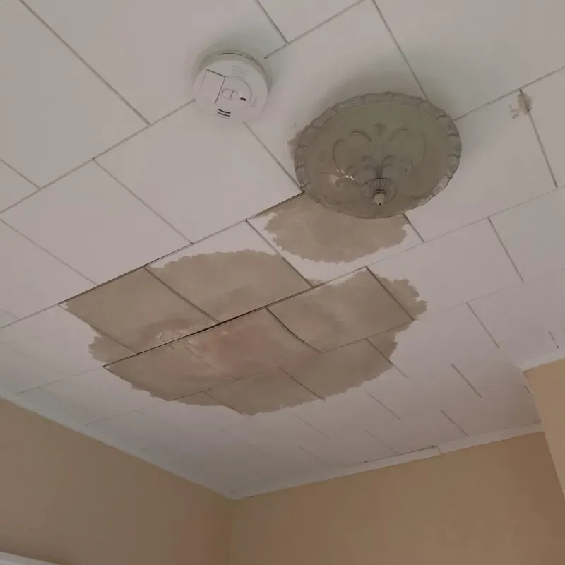 Ceiling Water Damage Repair in Clarion County, PA