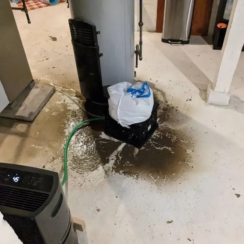 Sewage Backup Cleanup Service in Clarion County, PA